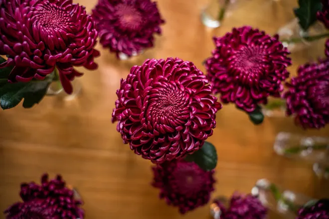 Compositions florales, photo d'entreprise à Vannes