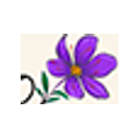 Logo Élodie Morel